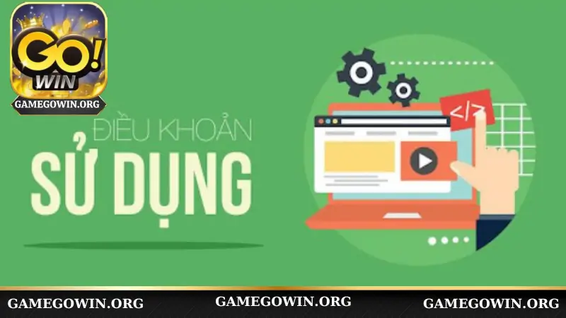 Đôi nét về quy định sử dụng Gowin hiện nay